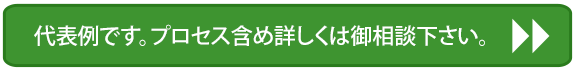 代表例です。プロセス含め詳しくは御相談下さい。